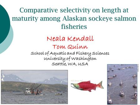 Comparative selectivity on length at maturity among Alaskan sockeye salmon fisheries Neala Kendall Tom Quinn School of Aquatic and Fishery Sciences University.