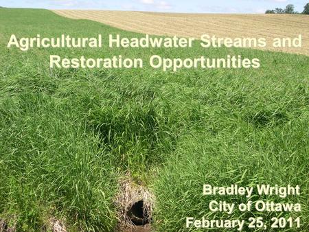 Agricultural Headwater Streams and Restoration Opportunities Bradley Wright Bradley Wright City of Ottawa City of Ottawa February 25, 2011.