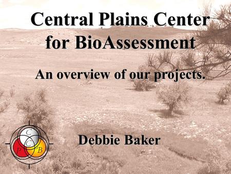 Central Plains Center for BioAssessment Debbie Baker An overview of our projects. Sept. 2004.