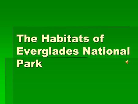 The Habitats of Everglades National Park. How Habitats Form Slight changes in elevation (only inches), water, and soil create entirely different landscapes,