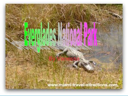 By Vanessa. Park Facts The park was established in 1947, by Harry S. Truman. Mary Stone Douglas saved the Everglades too.