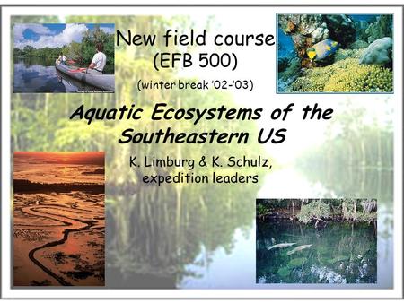 New field course (EFB 500) (winter break ’02-’03) Aquatic Ecosystems of the Southeastern US K. Limburg & K. Schulz, expedition leaders.