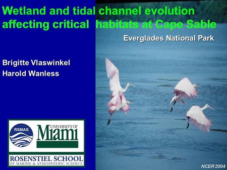 NCER 2004 Wetland and tidal channel evolution affecting critical habitats at Cape Sable Everglades National Park Wetland and tidal channel evolution affecting.