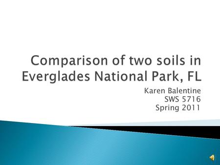 Karen Balentine SWS 5716 Spring 2011 Soil samples were taken from field sites located on the Harney River, in Everglades National Pak, Fl. The two sites.