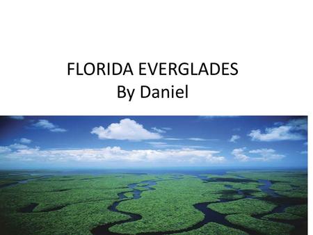 FLORIDA EVERGLADES By Daniel Where is it located? It is located in southern Florida. It is a wet land. Each year there is a wet season and a dry season.