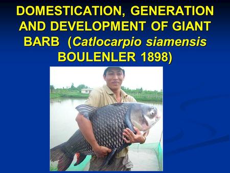 DOMESTICATION, GENERATION AND DEVELOPMENT OF GIANT BARB (Catlocarpio siamensis BOULENLER 1898)