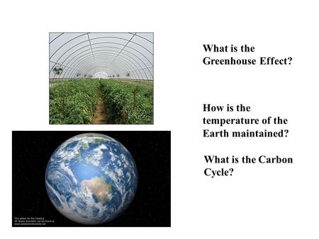 What is the Greenhouse Effect? What is the Carbon Cycle? How is the temperature of the Earth maintained?