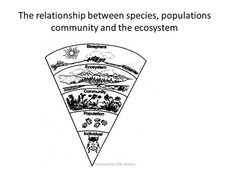 The relationship between species, populations community and the ecosystem Developed by KZN advisors.