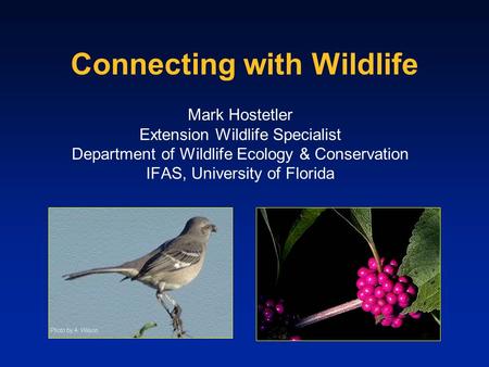 Connecting with Wildlife Mark Hostetler Extension Wildlife Specialist Department of Wildlife Ecology & Conservation IFAS, University of Florida.