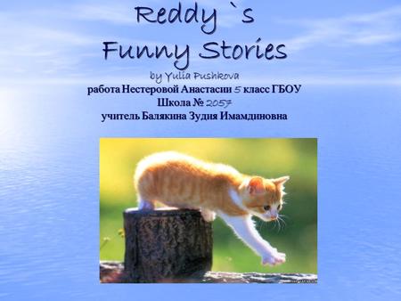 Reddy `s Funny Stories by Yulia Pushkova работа Нестеровой Анастасии 5 класс ГБОУ Школа № 2057 учитель Балякина Зудия Имамдиновна.