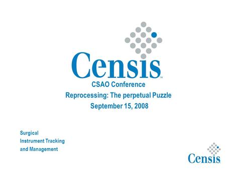 CSAO Conference Reprocessing: The perpetual Puzzle September 15, 2008