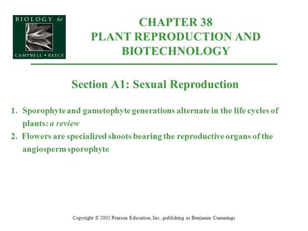 CHAPTER 38 PLANT REPRODUCTION AND BIOTECHNOLOGY Copyright © 2002 Pearson Education, Inc., publishing as Benjamin Cummings Section A1: Sexual Reproduction.