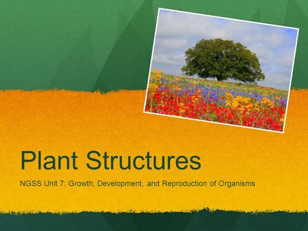 NGSS Unit 7: Growth, Development, and Reproduction of Organisms