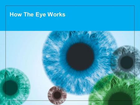 How The Eye Works. 2 The healthy eye Light rays enter the eye through the clear cornea, pupil and lens. These light rays are focused directly onto the.