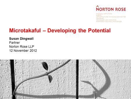 FINANCIAL INSTITUTIONS ENERGY INFRASTRUCTURE, MINING AND COMMODITIES TRANSPORT TECHNOLOGY AND INNOVATION PHARMACEUTICALS AND LIFE SCIENCES Microtakaful.