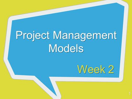 Project Management Models