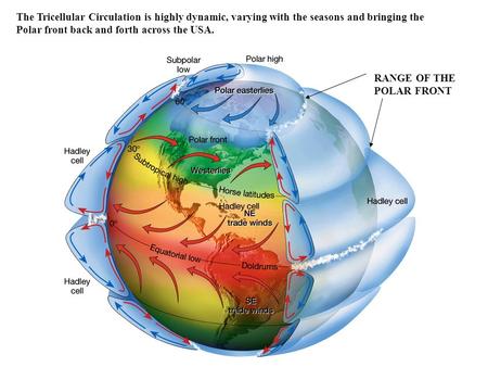 The Tricellular Circulation is highly dynamic, varying with the seasons and bringing the Polar front back and forth across the USA. RANGE OF THE POLAR.