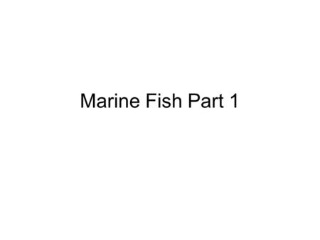 Marine Fish Part 1.