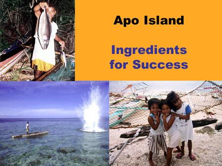 Apo Island Ingredients for Success. Outside stimulation and facilitation  Outsiders brought fresh ideas.  Marine biologist helped Islanders understand.