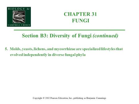 CHAPTER 31 FUNGI Copyright © 2002 Pearson Education, Inc., publishing as Benjamin Cummings Section B3: Diversity of Fungi (continued) 5. Molds, yeasts,