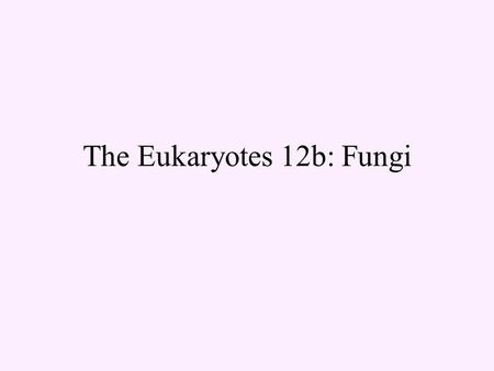 The Eukaryotes 12b: Fungi. Cell wall Fungal Morphology mold hypha/ae coenocytic.