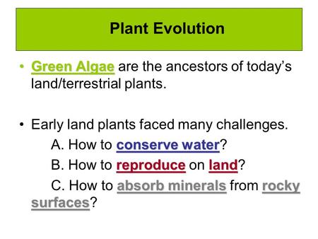 Plant Evolution Green Algae are the ancestors of today’s land/terrestrial plants. Early land plants faced many challenges. A. How to conserve water? B.