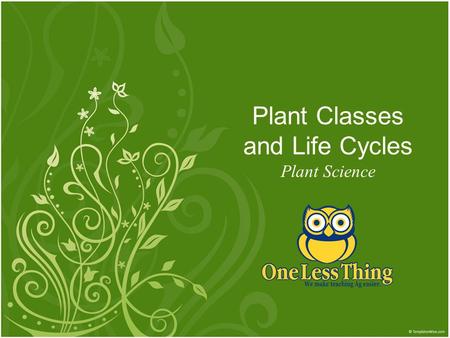 Plant Classes and Life Cycles