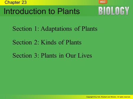 Introduction to Plants