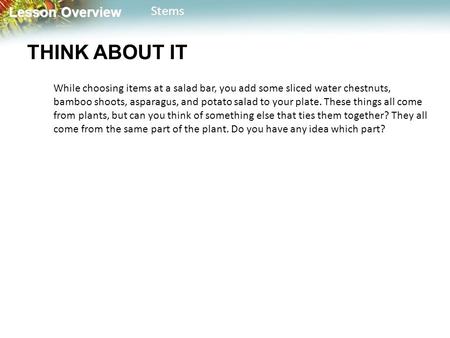 Lesson Overview Lesson OverviewStems THINK ABOUT IT While choosing items at a salad bar, you add some sliced water chestnuts, bamboo shoots, asparagus,