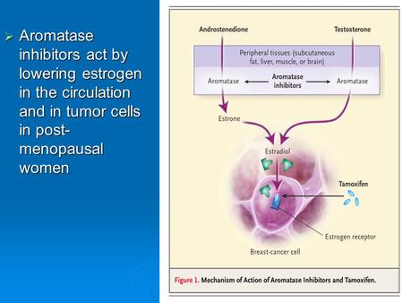  Aromatase inhibitors act by lowering estrogen in the circulation and in tumor cells in post- menopausal women.