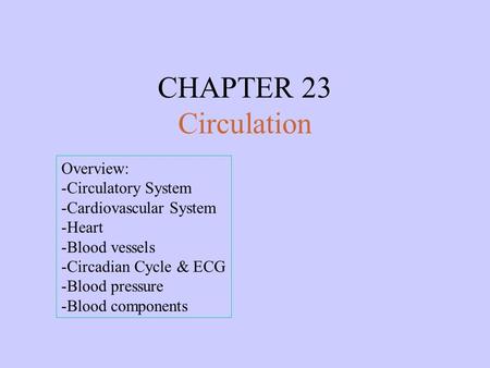 CHAPTER 23 Circulation Overview: -Circulatory System -Cardiovascular System -Heart -Blood vessels -Circadian Cycle & ECG -Blood pressure -Blood components.