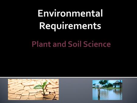 Environmental Requirements