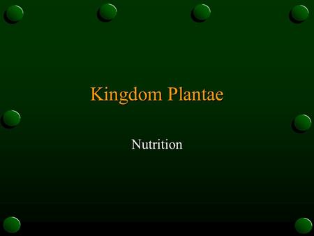 Kingdom Plantae Nutrition. Photosynthesis- o The process of converting solar energy to chemical energy o Used by green plants, algae, euglena, and the.