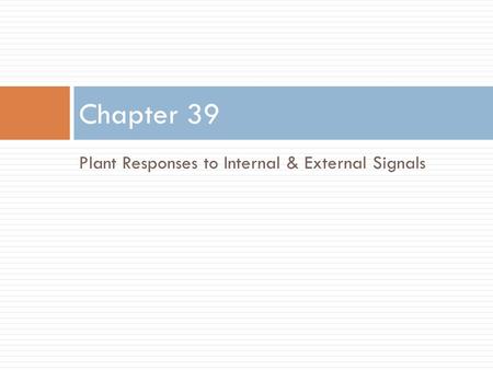 Plant Responses to Internal & External Signals Chapter 39.