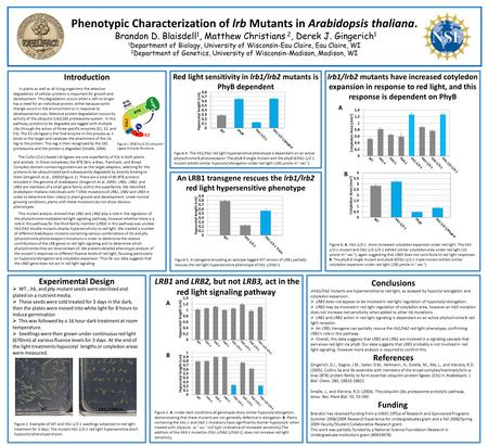 Phenotypic Characterization of lrb Mutants in Arabidopsis thaliana. Brandon D. Blaisdell 1, Matthew Christians 2, Derek J. Gingerich 1 1 Department of.