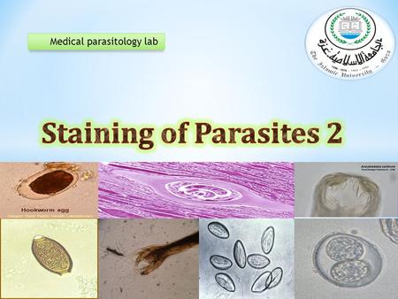 Medical parasitology lab. * Cryptosporidium parvum  Infect human and most mammals.  The infective stage is oocyst containing sporozoites measuring 4-6µ.