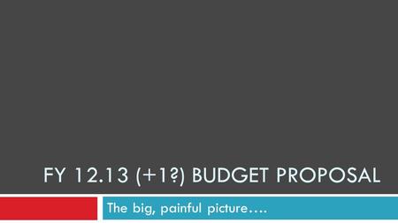 FY 12.13 (+1?) BUDGET PROPOSAL The big, painful picture….