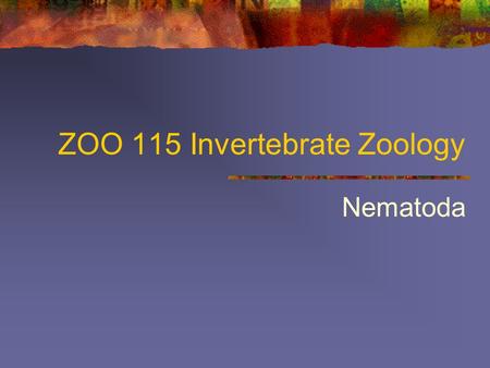 ZOO 115 Invertebrate Zoology