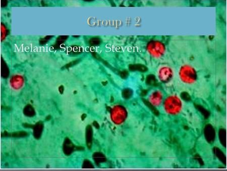 Melanie, Spencer, Steven..  Is caused by animal and human waste getting in the water supply.  People with low immune systems can developed life threating.