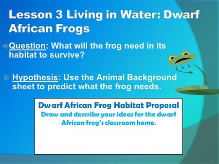 Lesson 3 Living in Water: Dwarf African Frogs