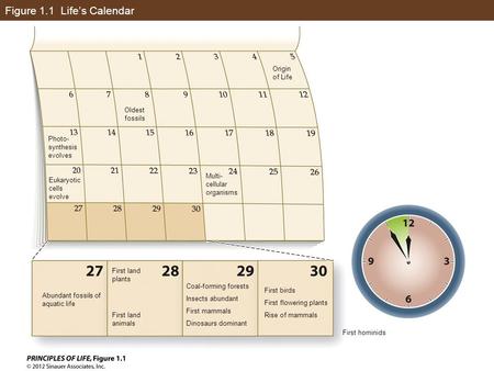 Figure 1.1 Life’s Calendar