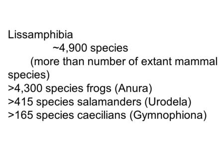 Lissamphibia ~4,900 species