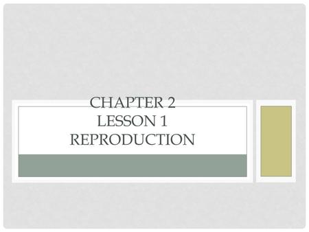 CHAPTER 2 LESSON 1 REPRODUCTION. WHERE DO LIVING THINGS COME FROM? Living things come from other living things. Every organism comes from a parent organism.