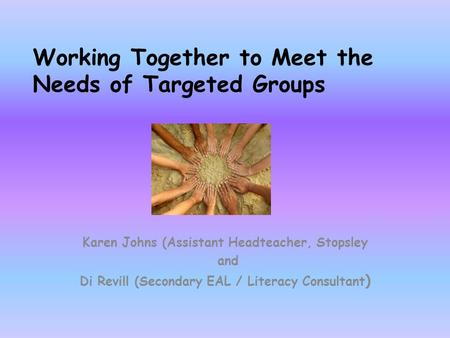 Working Together to Meet the Needs of Targeted Groups Karen Johns (Assistant Headteacher, Stopsley and Di Revill (Secondary EAL / Literacy Consultant )