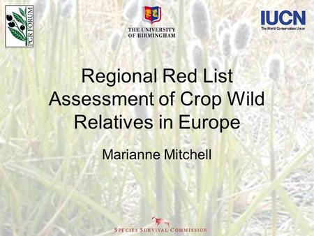 Regional Red List Assessment of Crop Wild Relatives in Europe Marianne Mitchell.