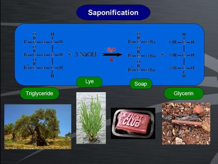 Saponification Triglyceride Lye Soap Glycerin. Triglycerides OilsFats (At ambient temperature) Liquid Solid.