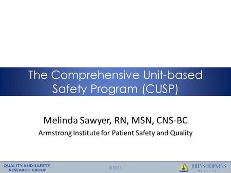 The Comprehensive Unit-based Safety Program (CUSP)