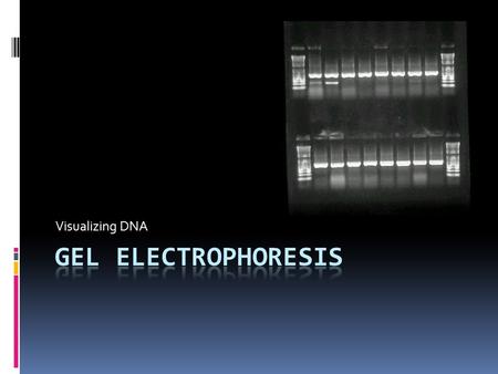 Visualizing DNA. What is it?  Gel electrophoresis is one of the techniques scientists use to look at the DNA they have.  This technique separates DNA.