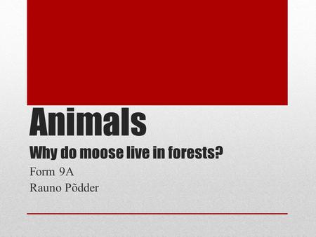 Animals Why do moose live in forests? Form 9A Rauno Põdder.