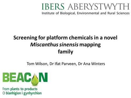 Screening for platform chemicals in a novel Miscanthus sinensis mapping family Tom Wilson, Dr Ifat Parveen, Dr Ana Winters.